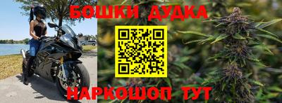 ГАЛЛЮЦИНОГЕННЫЕ ГРИБЫ Заволжье