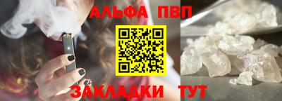 шишки Дубна