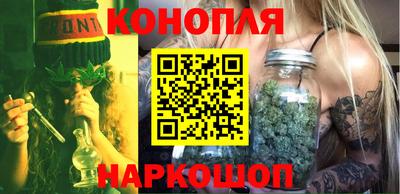 шишки Дубна