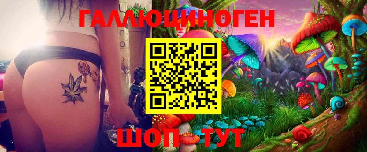 Псилоцибиновые грибы GOLDEN TEACHER Благовещенск